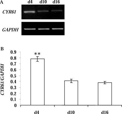 FIG. 5