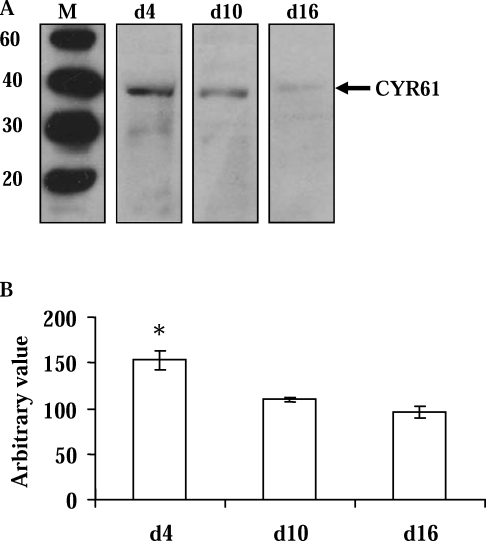 FIG. 6