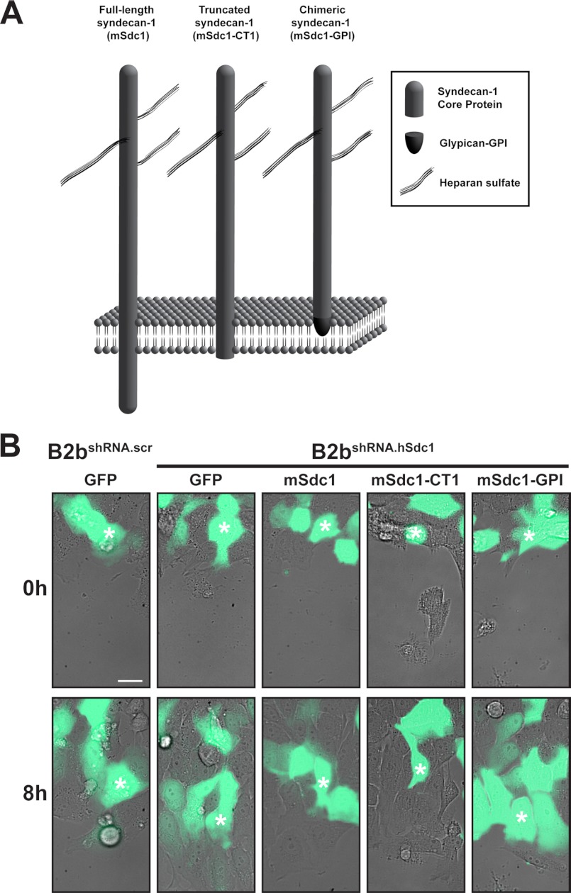 FIGURE 2.