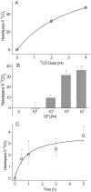 FIG 1