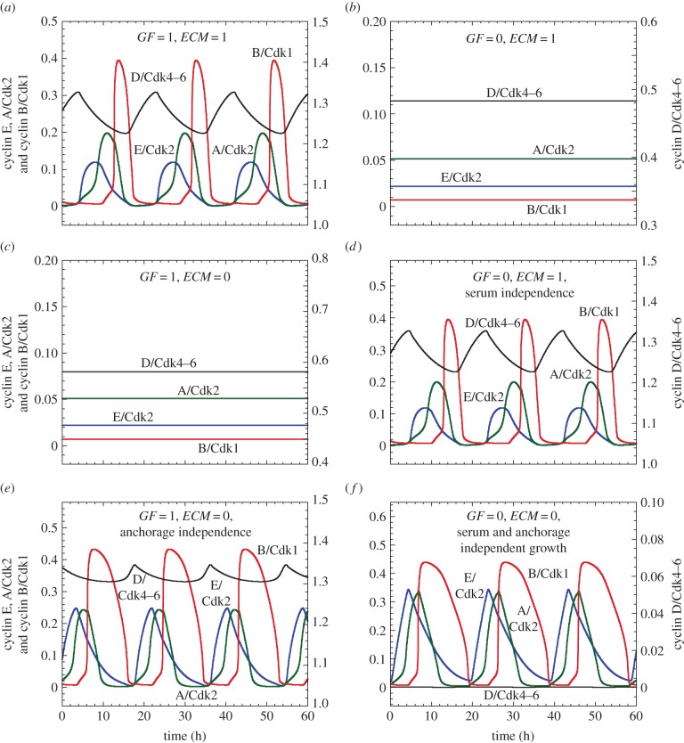 Figure 4.