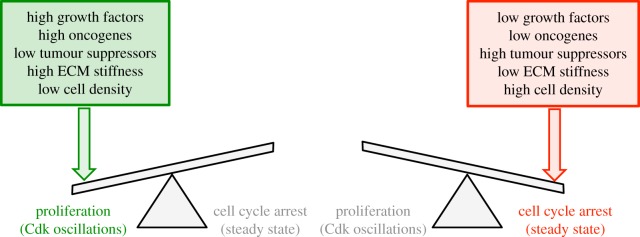 Figure 9.