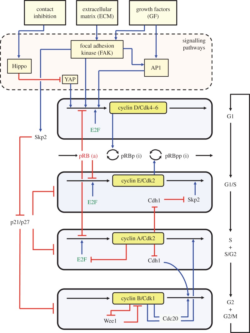 Figure 1.