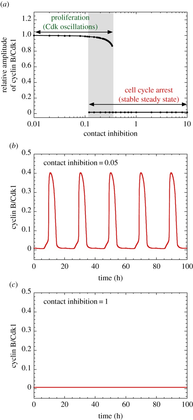 Figure 6.