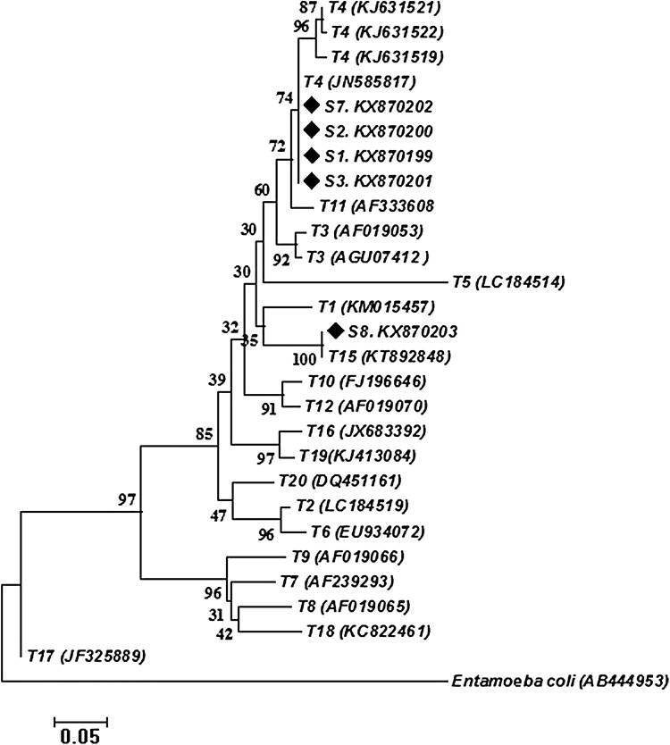 Fig. 4