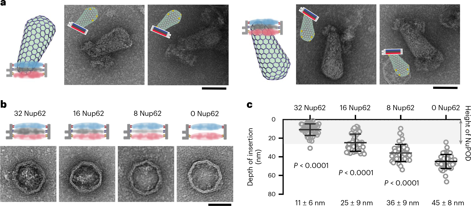 Fig. 6 |