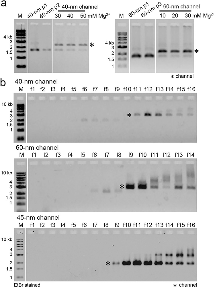 Extended Data Fig. 2 |