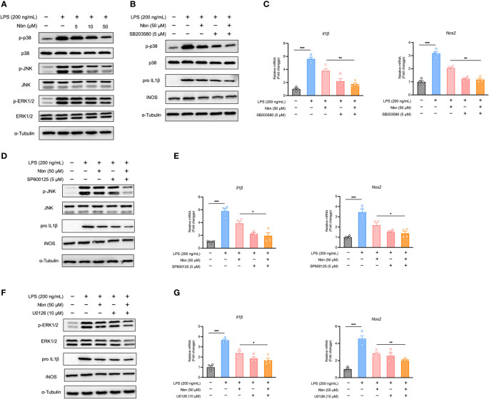 Figure 4