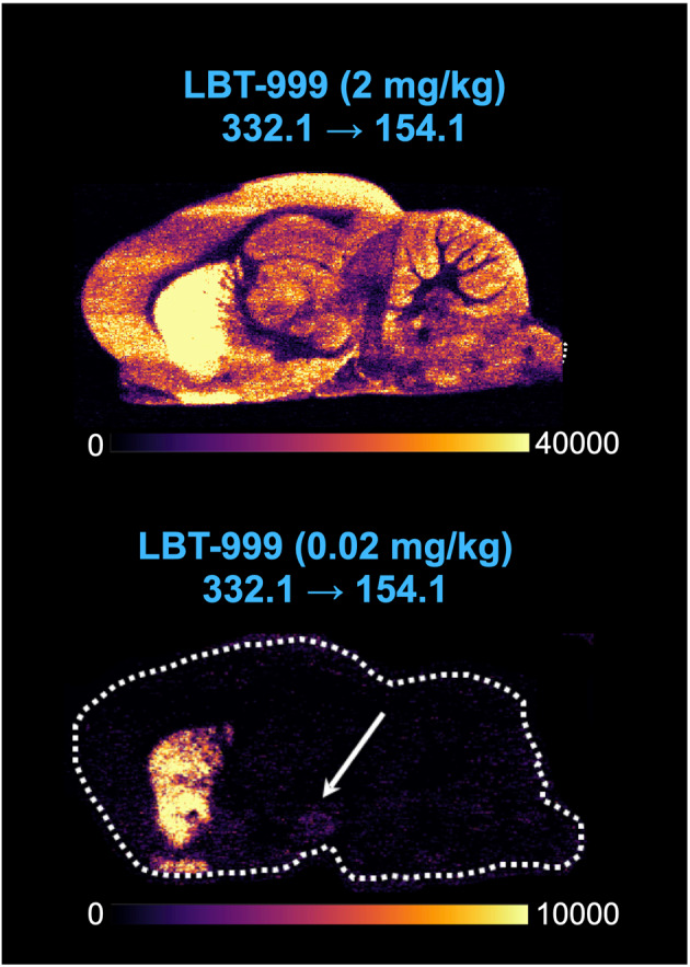 Fig. 3