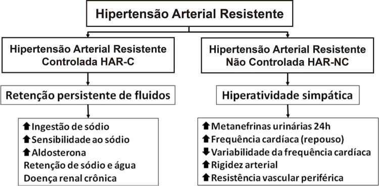 Figura 3