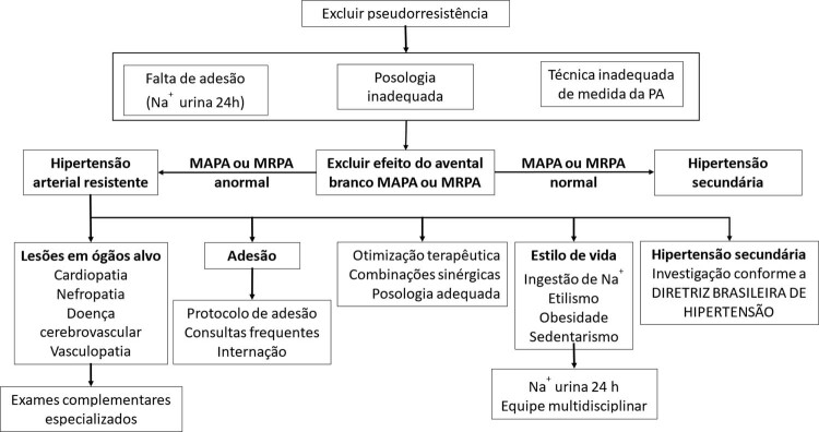 Figura 1