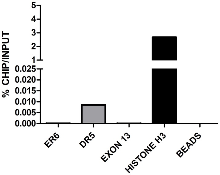 Fig 9