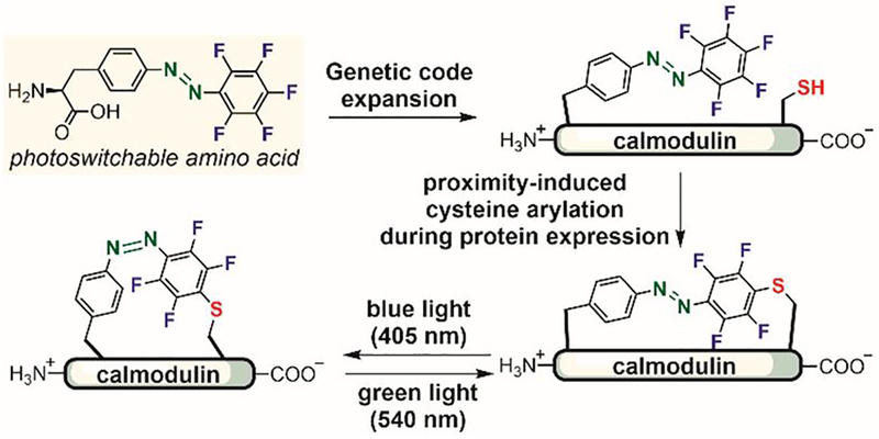 Figure 17.