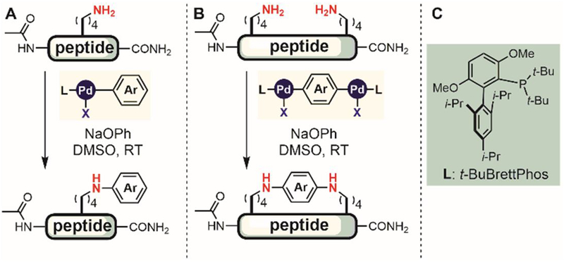 Figure 34.