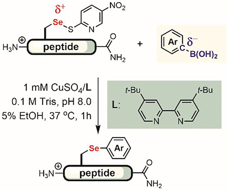 Figure 40.