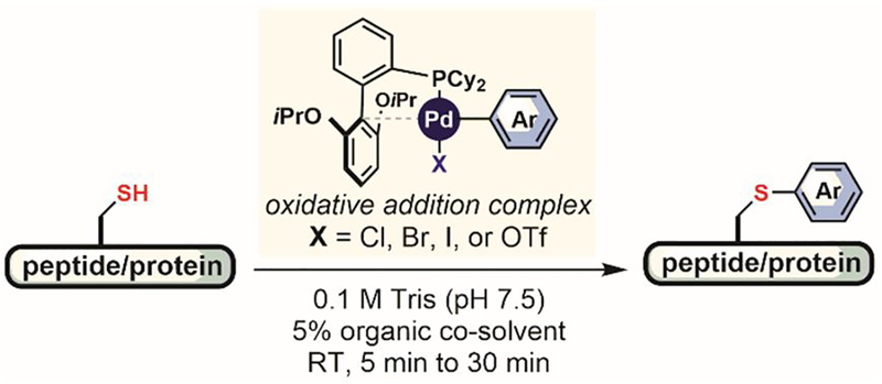 Figure 25.