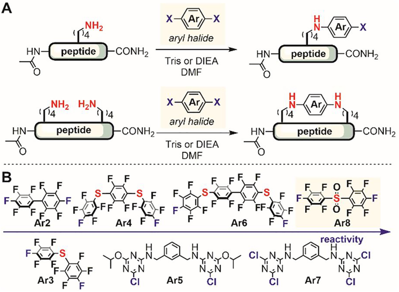 Figure 33.