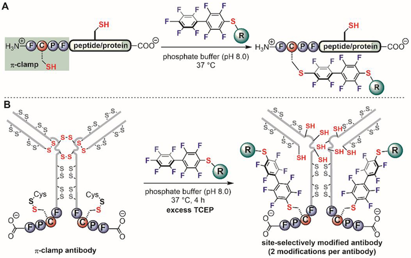 Figure 22.