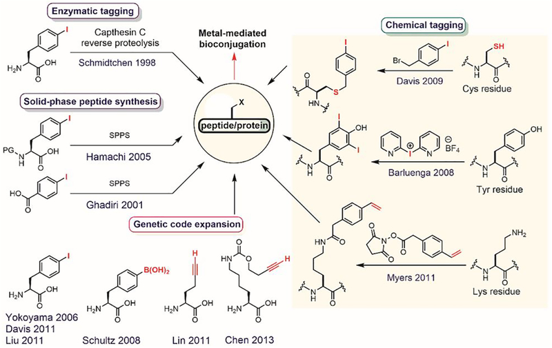 Figure 42.