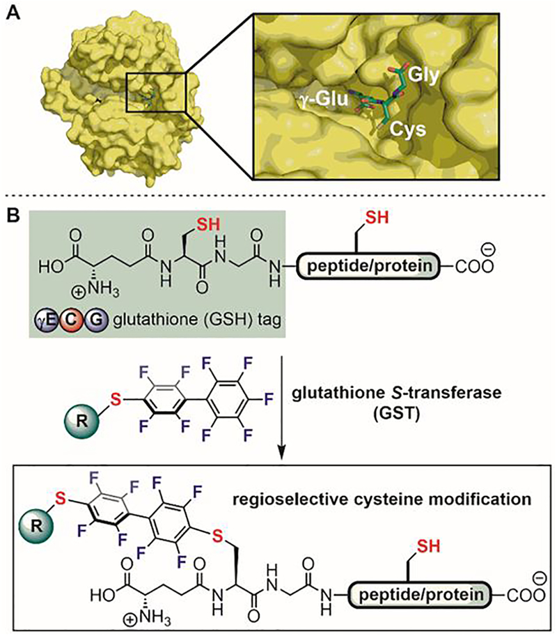 Figure 20.