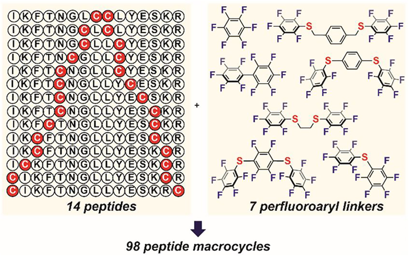 Figure 13.