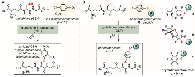 Figure 19.