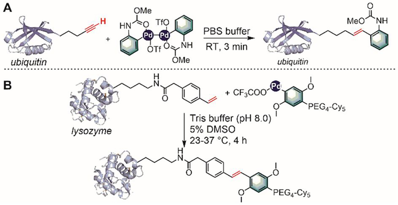 Figure 45.