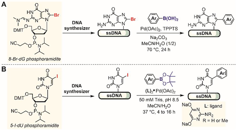 Figure 46.