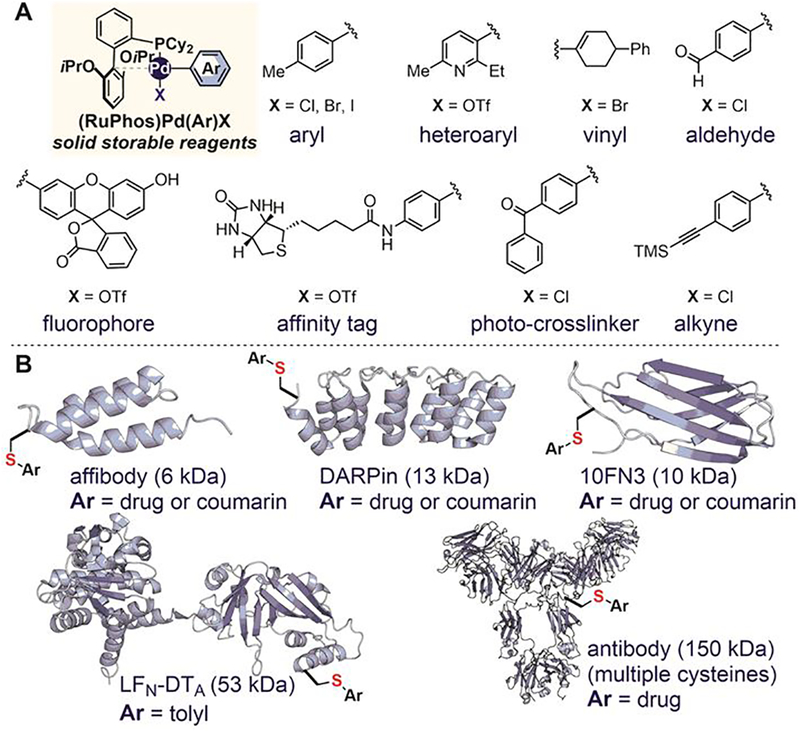 Figure 26.