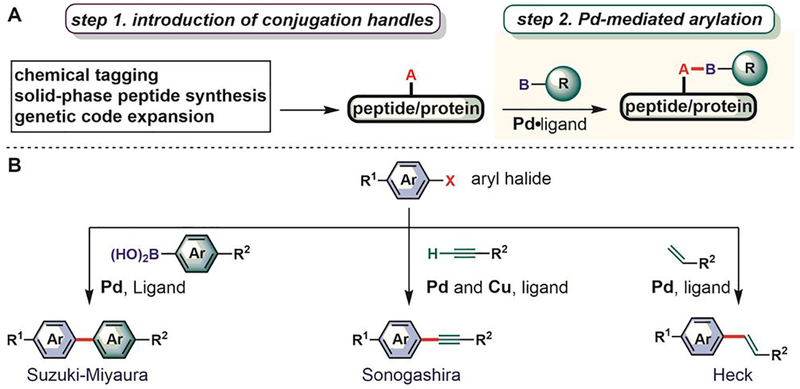 Figure 41.