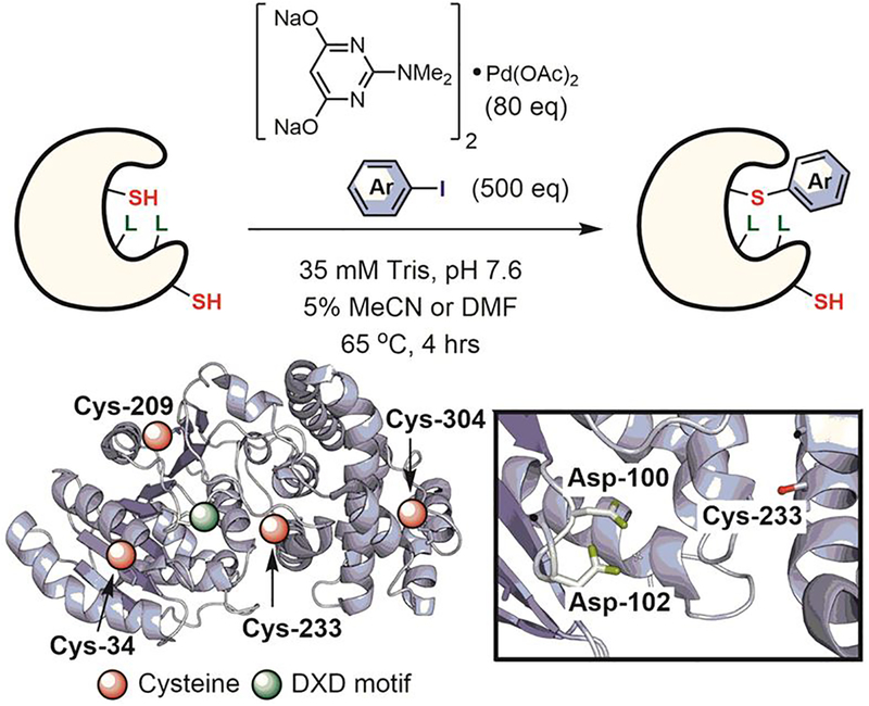 Figure 30.