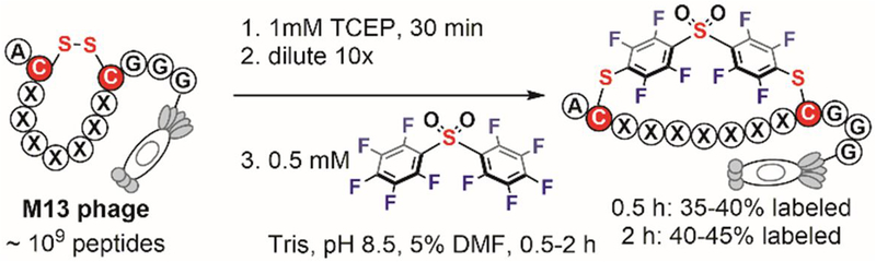 Figure 16.