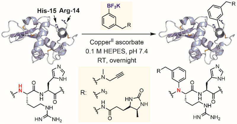 Figure 35.