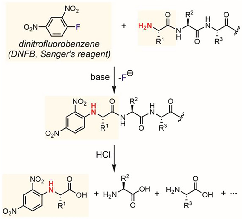 Figure 31.