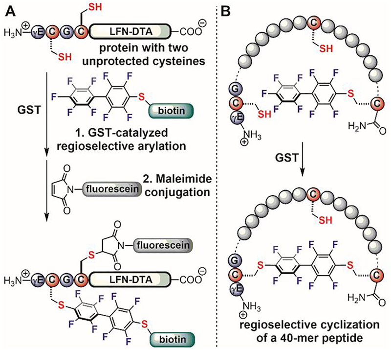 Figure 21.