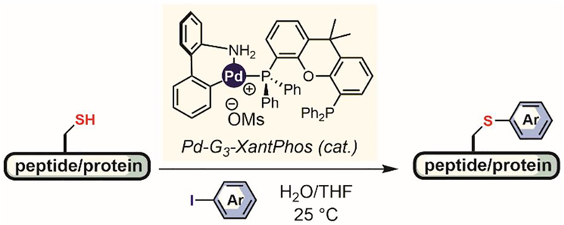 Figure 29.