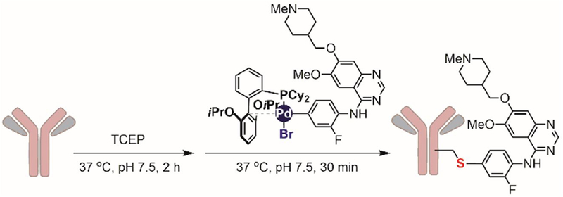 Figure 28.