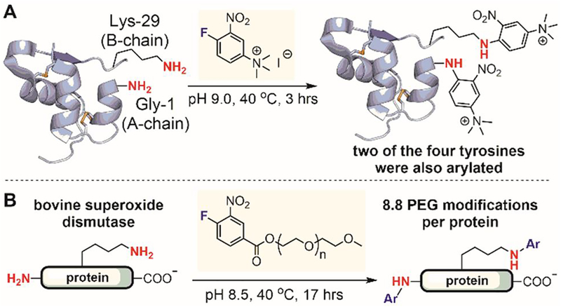 Figure 32.