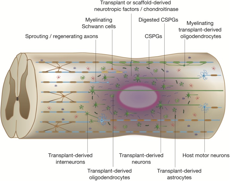 FIGURE 3