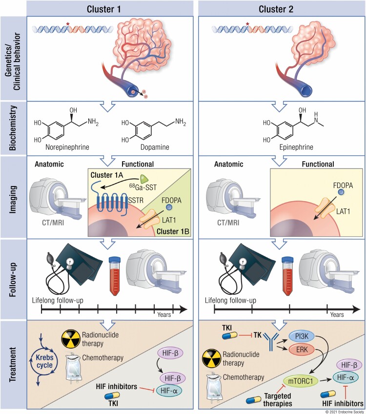 Graphical Abstract