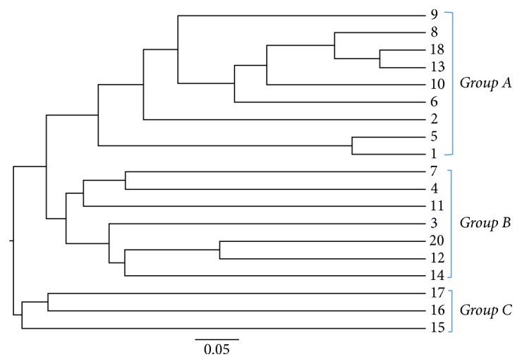 Figure 2