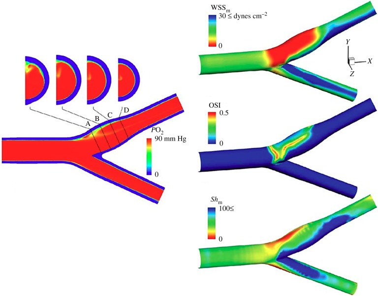 Figure 5.