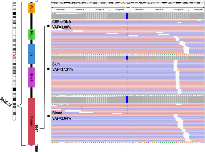 Figure 3.