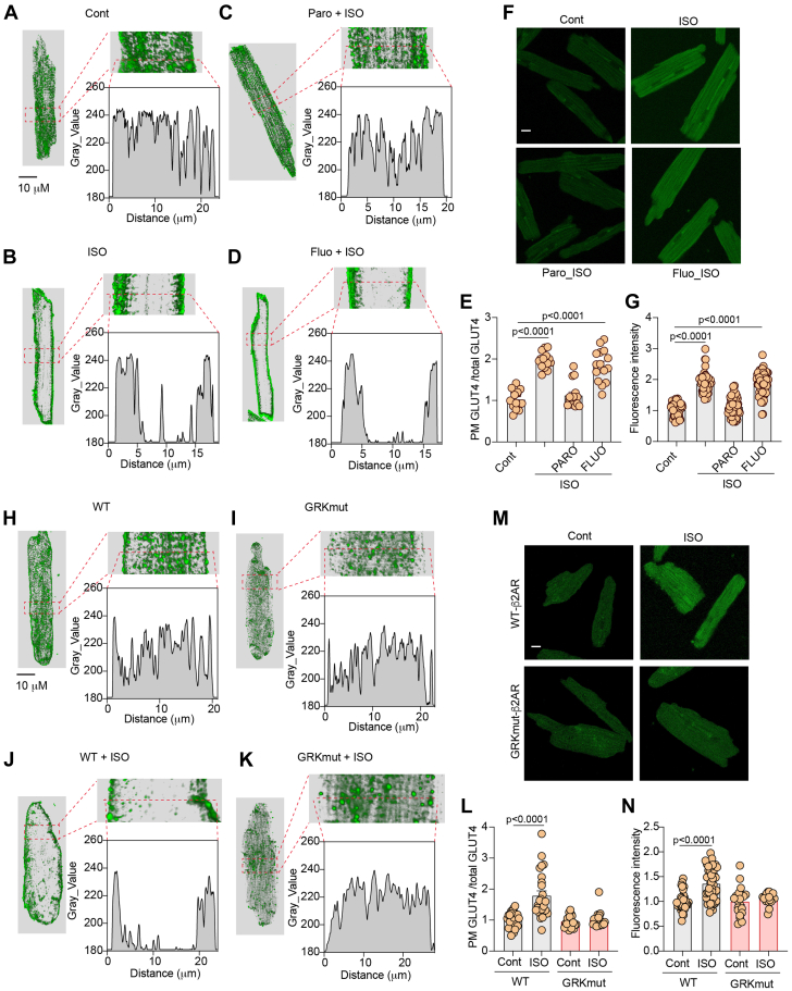 Figure 6