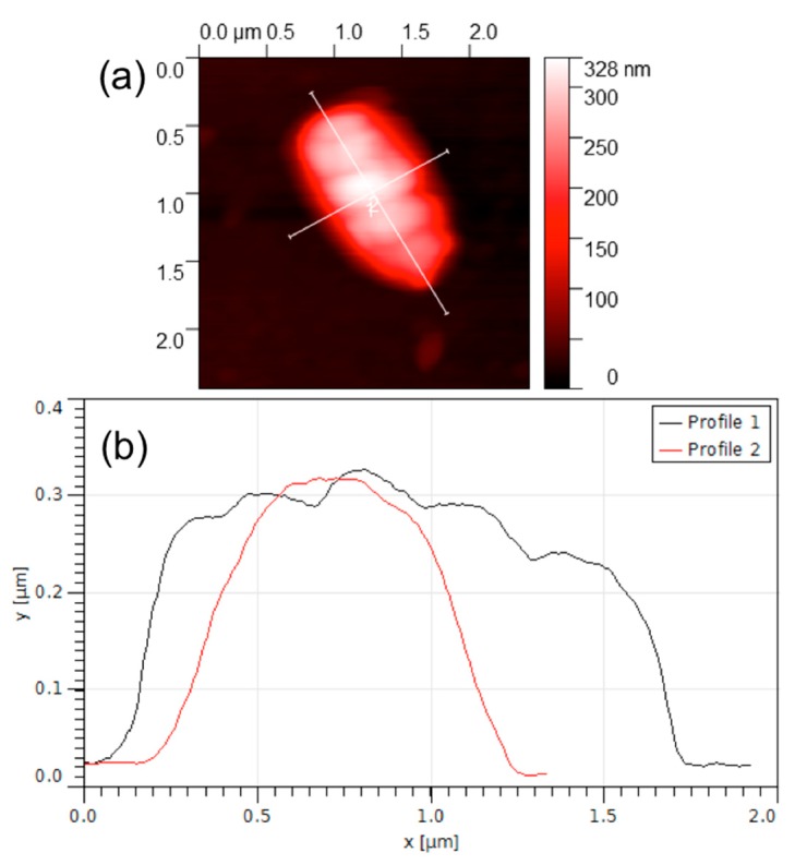 Figure 5