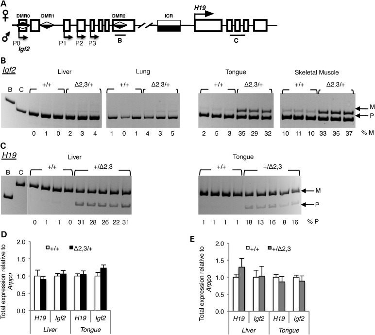 Figure 3.