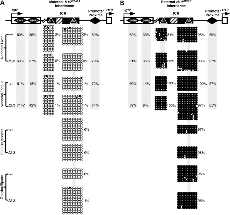 Figure 4.