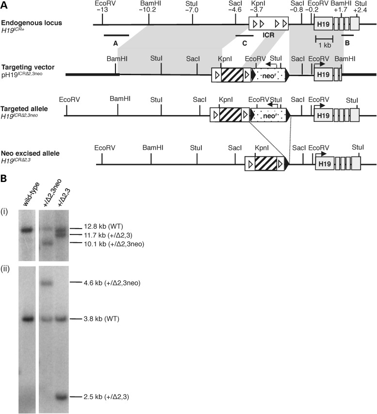 Figure 1.