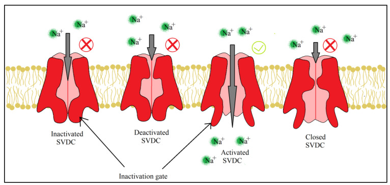 Figure 5