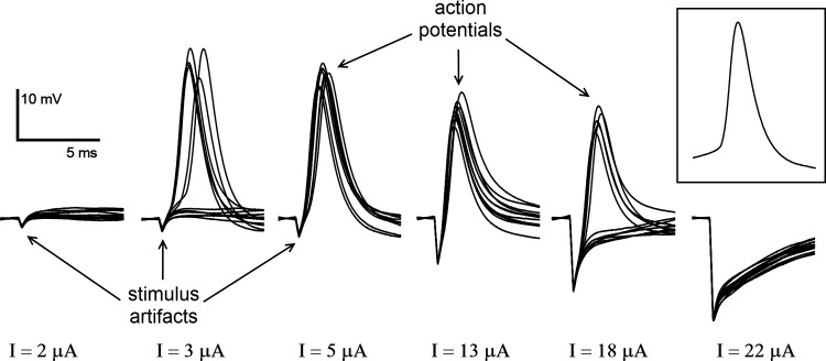 Fig. 2.